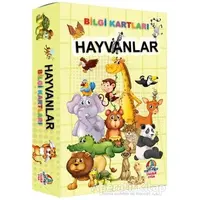 Hayvanlar - Bilgi Kartları - Kolektif - Yağmur Çocuk