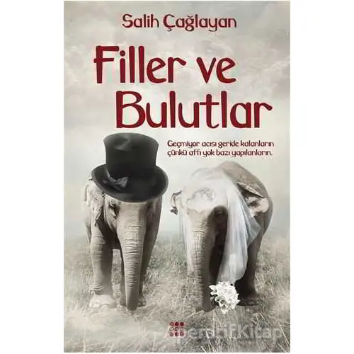 Filler ve Bulutlar - Salih Çağlayan - Dokuz Yayınları