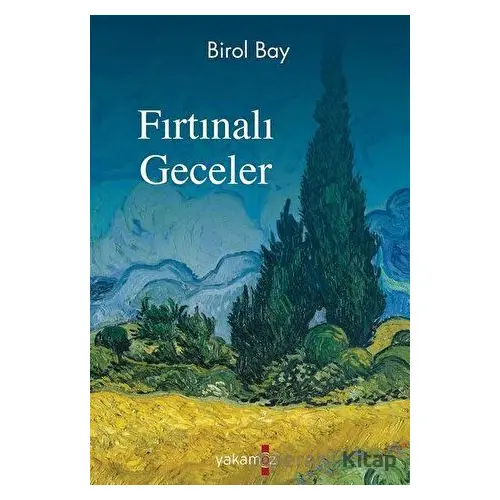 Fırtınalı Geceler - Birol Bay - Yakamoz Yayınevi