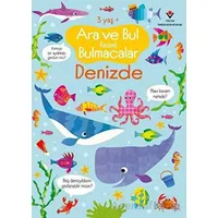 Denizde - Ara ve Bul Resimli Bulmacalar - Gareth Lucas - TÜBİTAK Yayınları