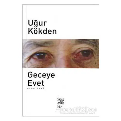 Geceye Evet - Uğur Kökden - Sözcükler Yayınları