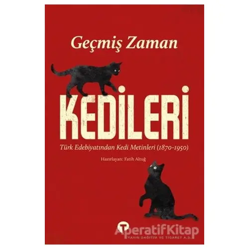 Geçmiş Zaman Kedileri - Fatih Altuğ - Turkuvaz Kitap