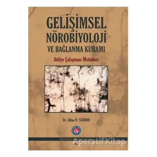 Gelişimsel Nörobiyoloji ve Bağlanma Kuramı - Allan N. Schore - Psikoterapi Enstitüsü