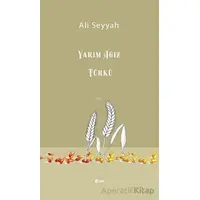 Yarım Ağız Türkü - Ali Seyyah - Şule Yayınları