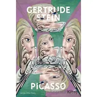 Picasso - Gertrude Stein - Mecaz Yayınları