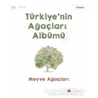 Türkiyenin Ağaçları Albümü - Meyve Ağaçları - Işıl Erverdi - Kumdan Kale