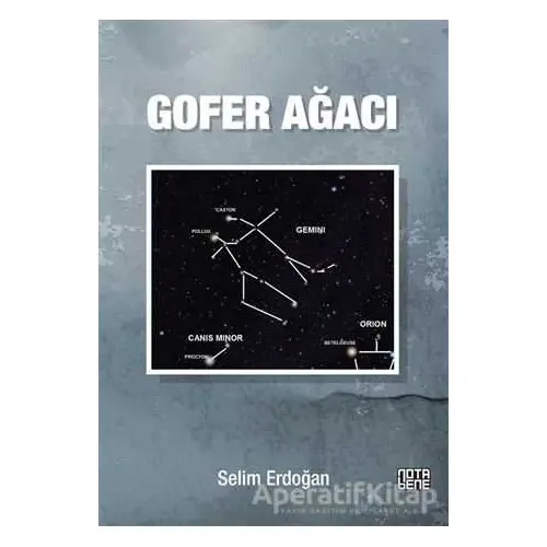 Gofer Ağacı - Selim Erdoğan - Nota Bene Yayınları