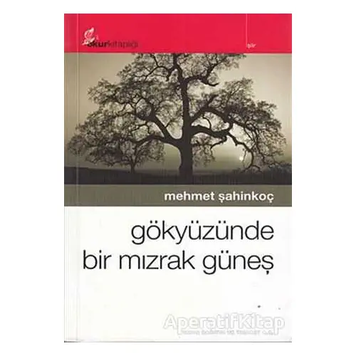 Gökyüzünde Bir Mızrak Güneş - Mehmet Şahinkoç - Okur Kitaplığı