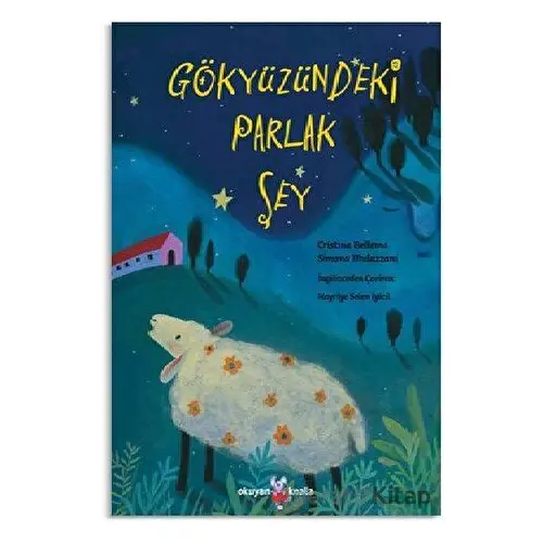 Gökyüzündeki Parlak Şey - Simona Mulazzani - Okuyan Koala