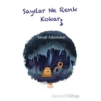 Sayılar Ne Renk Kokar - İsmail Aslanhatun - İki Eylül Yayınevi