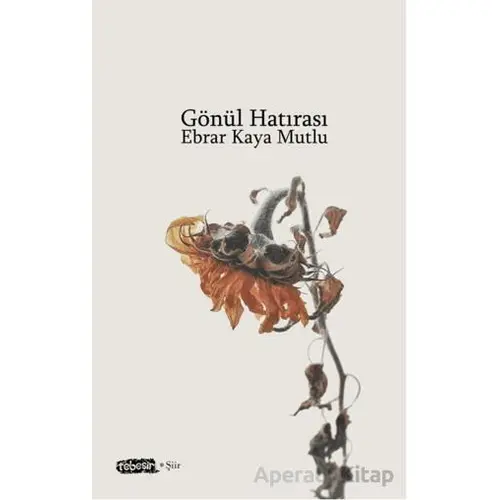 Gönül Hatırası - Ebrar Kaya Mutlu - Tebeşir Yayınları