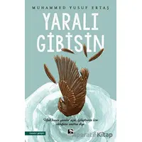 Yaralı Gibisin - Muhammed Yusuf Ertaş - Çınaraltı Yayınları