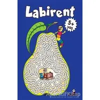 Labirent +5 Yaş - Gülizar Çilliyüz Çetinkaya - Beyaz Panda Yayınları