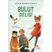 Bulut Delisi - Leyla Ruhan Okyay - Günışığı Kitaplığı