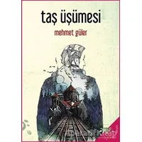 Taş Üşümesi - Mehmet Güler - h2o Kitap