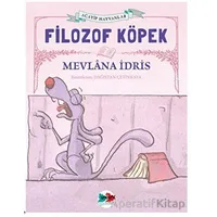 Filozof Köpek - Mevlana İdris - Vak Vak Yayınları