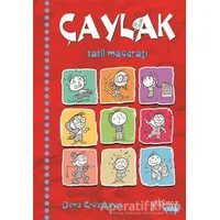 Çaylak - Tatil Macerası - Deniz Eröztoprak - Yakamoz Yayınevi