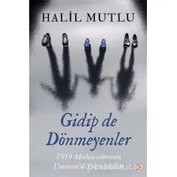 Gidip de Dönmeyenler - Halil Mutlu - Cinius Yayınları