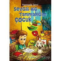 Sevgili Hiç Tanımadığım Çocuk - Hanzade Servi - Tudem Yayınları