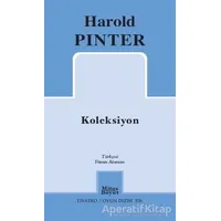 Koleksiyon - Harold Pinter - Mitos Boyut Yayınları