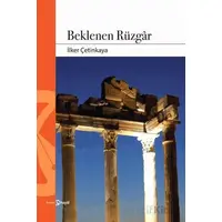 Beklenen Rüzgar - İlker Çetinkaya - Hayal Yayınları