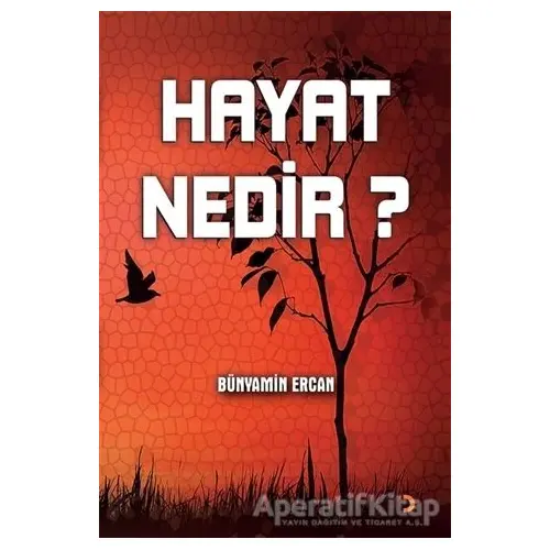 Hayat Nedir? - Bünyamin Ercan - Cinius Yayınları