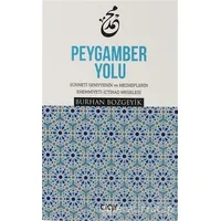 Peygamber Yolu - Burhan Bozgeyik - Çığır Yayınları