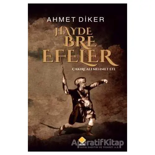 Hayde Bre Efeler - Ahmet Diker - Duvar Kitabevi