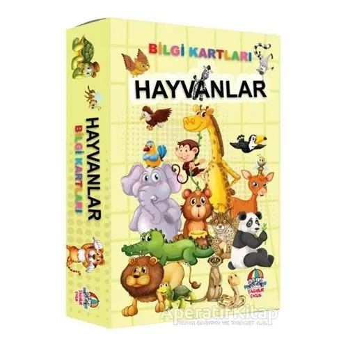 Hayvanlar - Bilgi Kartları - Kolektif - Yağmur Çocuk