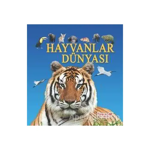 Hayvanlar Dünyası - Kolektif - Yumurcak Yayınları