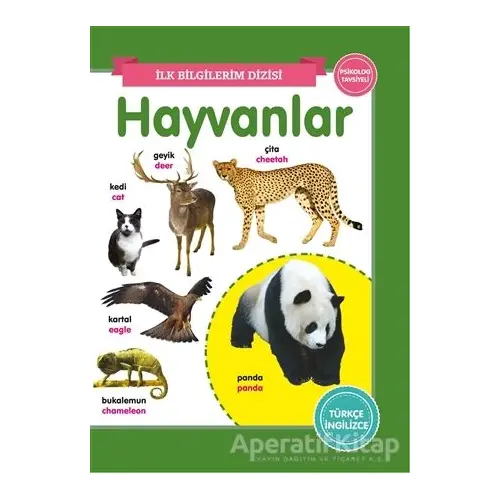 Hayvanlar - İlk Bilgilerim Dizisi - Kolektif - 0-6 Yaş Yayınları