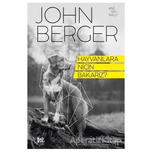 Hayvanlara Niçin Bakarız? - John Berger - Delidolu