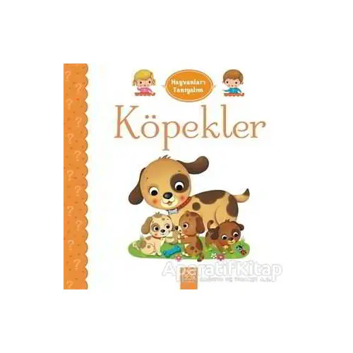 Hayvanları Tanıyalım - Köpekler - Emilie Belineau - 1001 Çiçek Kitaplar