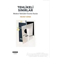 Tehlikeli Sınırlar - Mehmet Sümer - Hece Yayınları