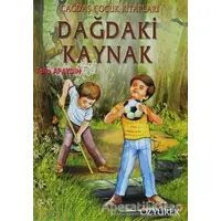 Dağdaki Kaynak - Talip Apaydın - Özyürek Yayınları