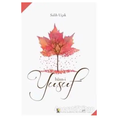 Hüsn-i Yusuf - Salih Uçak - Çıra Yayınları