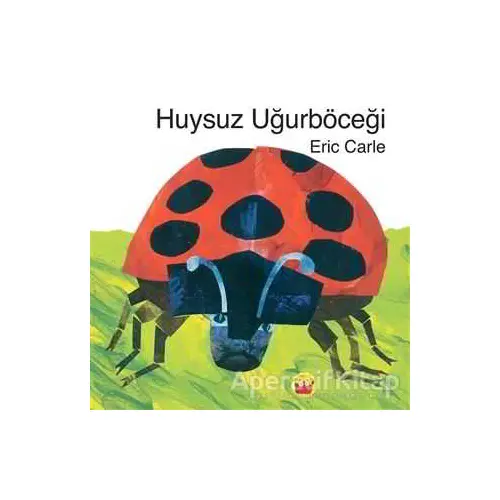 Huysuz Uğurböceği - Eric Carle - Kuraldışı Yayınevi