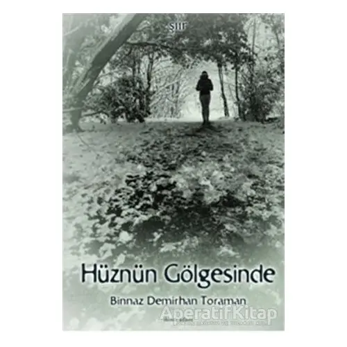 Hüznün Gölgesinde - Binnaz Demirhan Toraman - İkinci Adam Yayınları