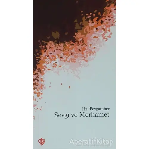 Hz. Peygamberde Sevgi ve Merhamet - Raşit Küçük - Türkiye Diyanet Vakfı Yayınları