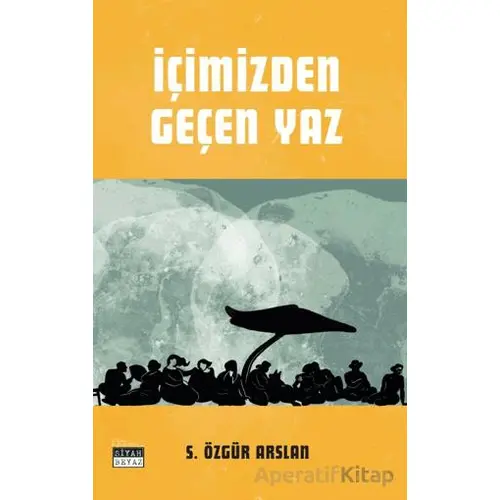 İçimizden Geçen Yaz - S. Özgür Arslan - Siyah Beyaz Yayınları