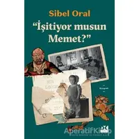 İşitiyor musun Mehmet? - Sibel Oral - Doğan Kitap
