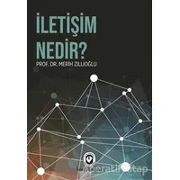 İletişim Nedir? - Merih Zıllıoğlu - Cem Yayınevi