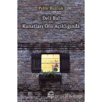 Deli Bal - Kanatları Ölü Açıklığında - Pelin Buzluk - İletişim Yayınevi