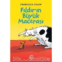 Fıldır’ın Büyük Macerası - Francesca Simon - İletişim Yayınevi