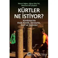 Kürtler Ne İstiyor? - Mesut Yeğen - İletişim Yayınevi