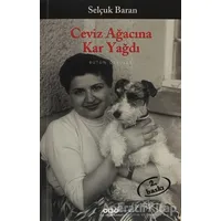 Ceviz Ağacına Kar Yağdı - Selçuk Baran - Yapı Kredi Yayınları