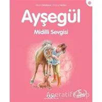 Ayşegül Midilli Sevgisi - Gilbert Delahaye - Yapı Kredi Yayınları