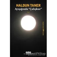 Ayışığında Çalışkur - Haldun Taner - Yapı Kredi Yayınları