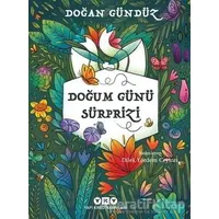 Doğum Günü Sürprizi - Doğan Gündüz - Yapı Kredi Yayınları