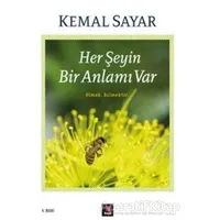 Her Şeyin Bir Anlamı Var - Kemal Sayar - Kapı Yayınları